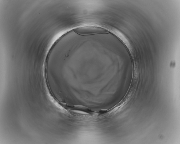 X0000093370958200711011225