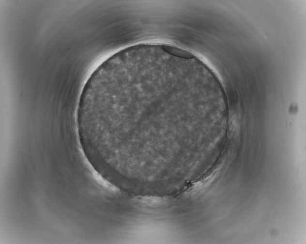 X0000093370959200711011225