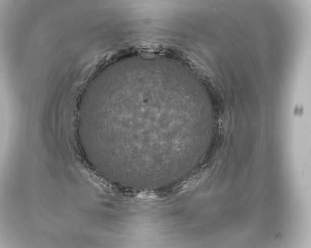 X0000093370961200711011225