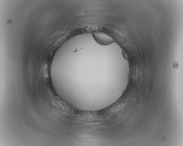 X0000093370962200711011225