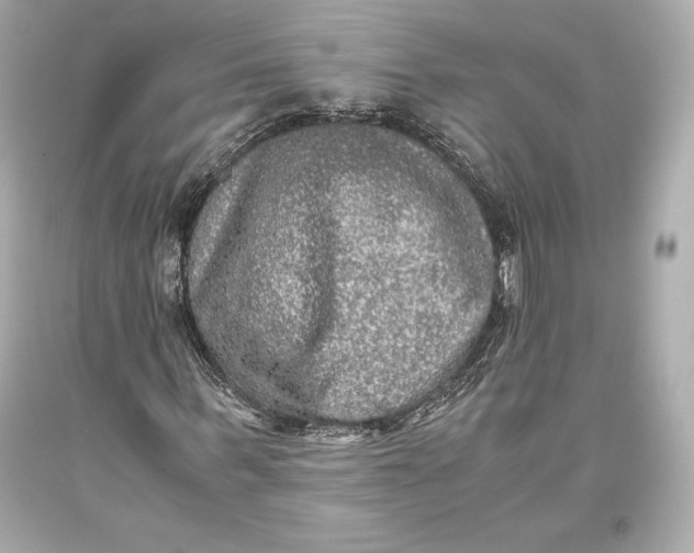 X0000093370963200711011225