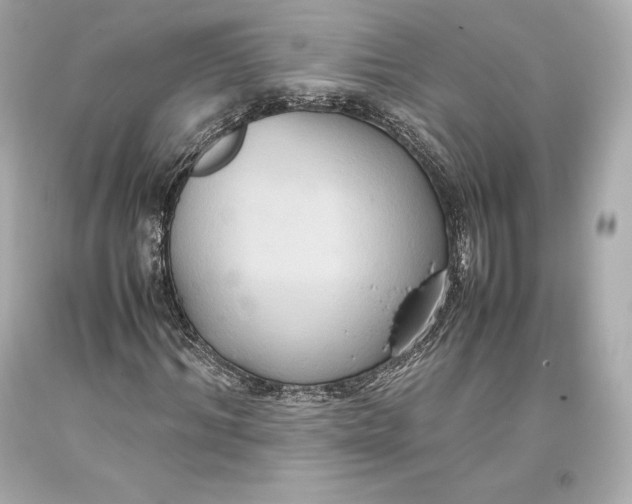 X0000093370964200711011225