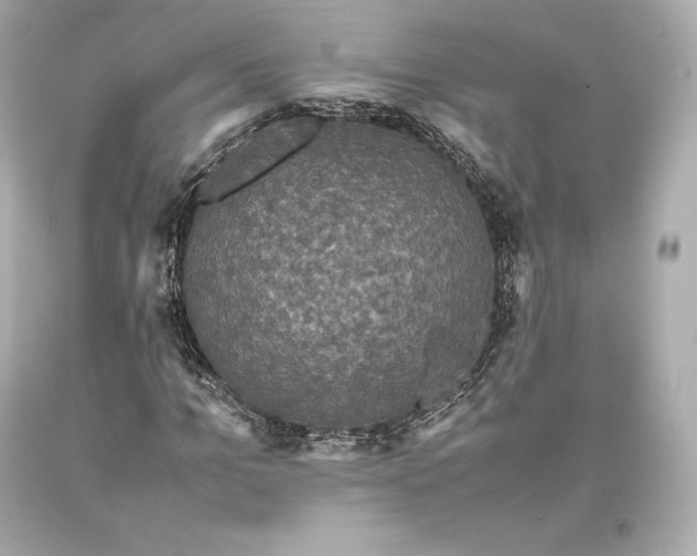 X0000093370965200711011225