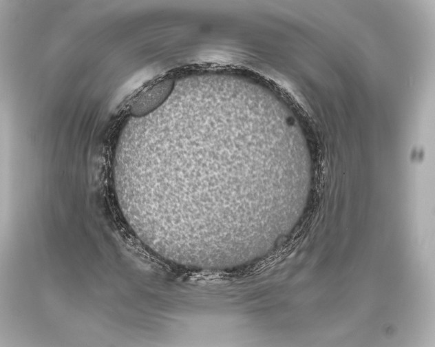 X0000093370967200711011225