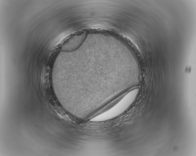 X0000093370968200711011225