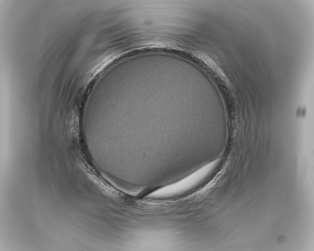 X0000093370969200711011225