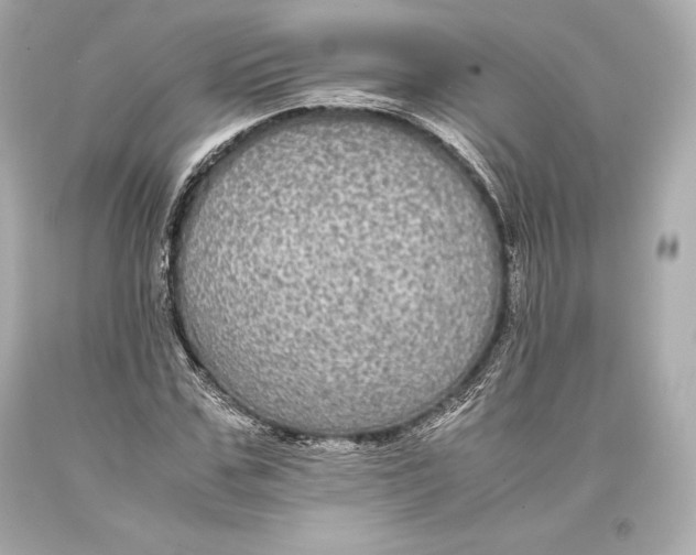 X0000093370971200711011224