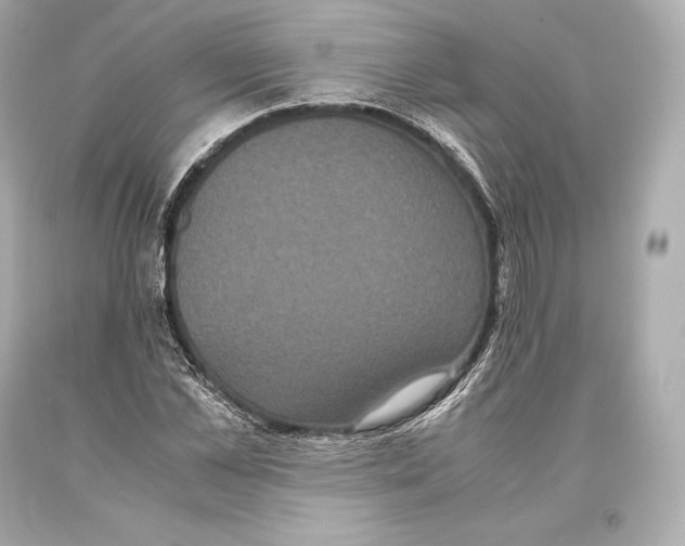 X0000093370973200711011224