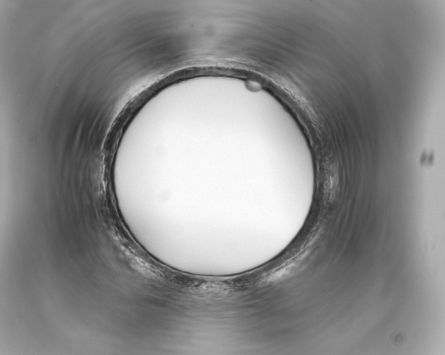 X0000093370974200711011224