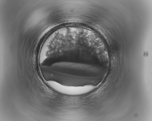 X0000093370975200711011224