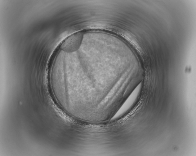 X0000093370976200711011224