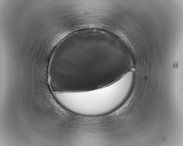 X0000093370977200711011224