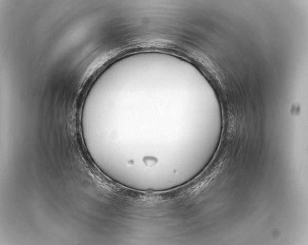 X0000093370978200711011224