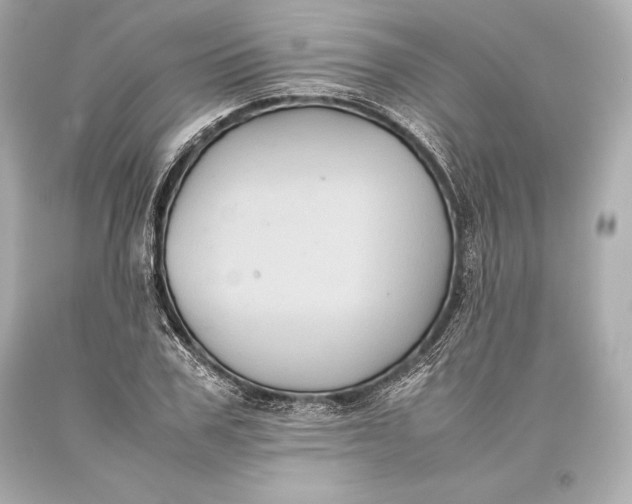 X0000093370979200711011224