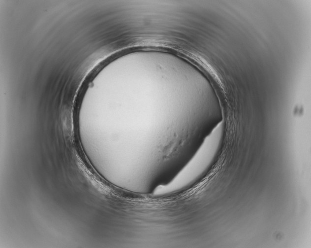 X0000093370980200711011224