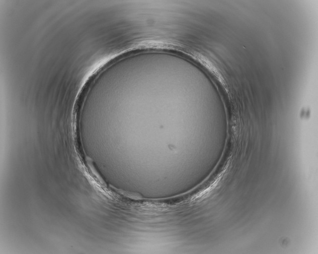 X0000093370981200711011224