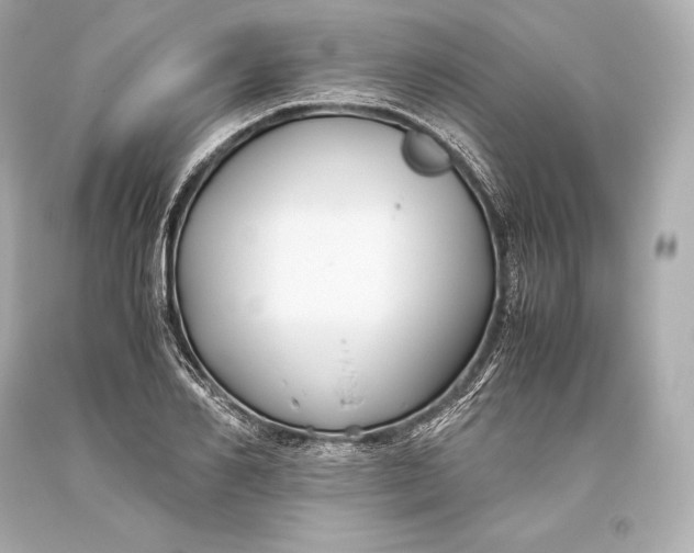 X0000093370982200711011224