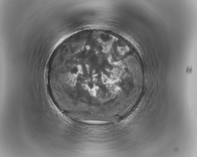 X0000093370983200711011224