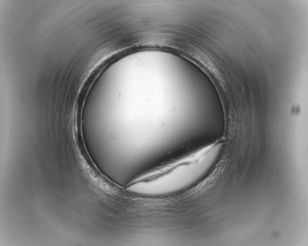 X0000093370984200711011224