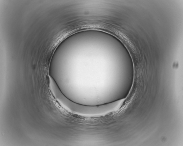 X0000093370985200711011224