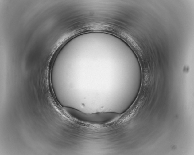 X0000093370986200711011224