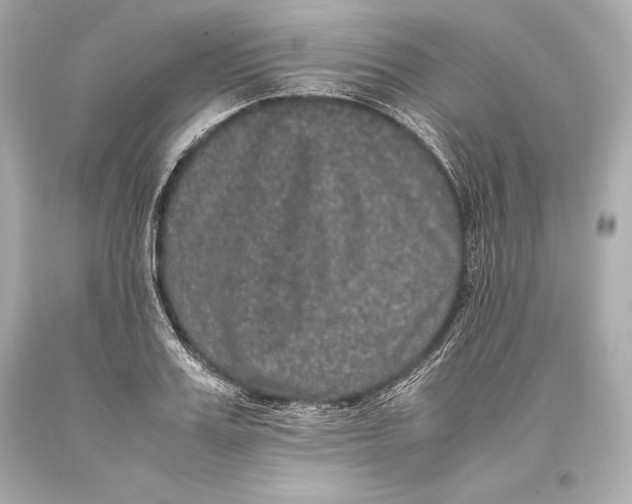 X0000093370987200711011224