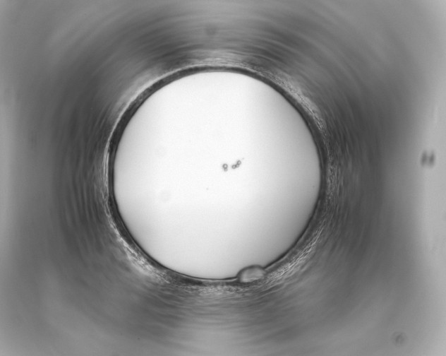 X0000093370988200711011224