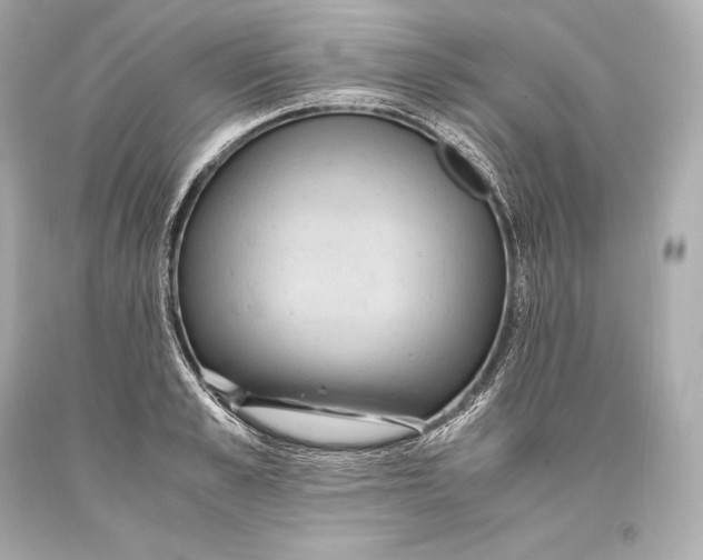 X0000093370989200711011224