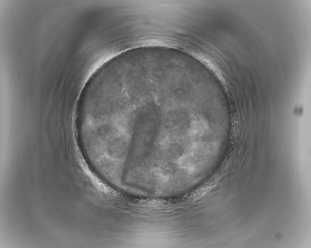 X0000093370991200711011224