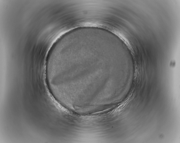 X0000093370992200711011224