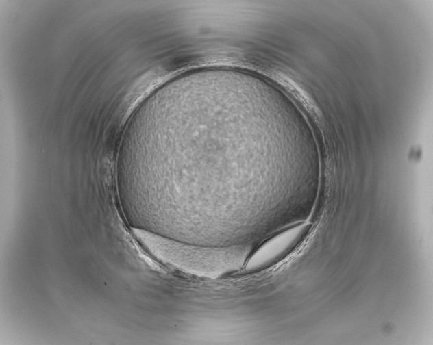 X0000093370993200711011224