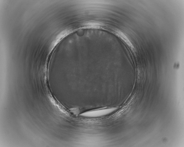 X0000093370994200711011224