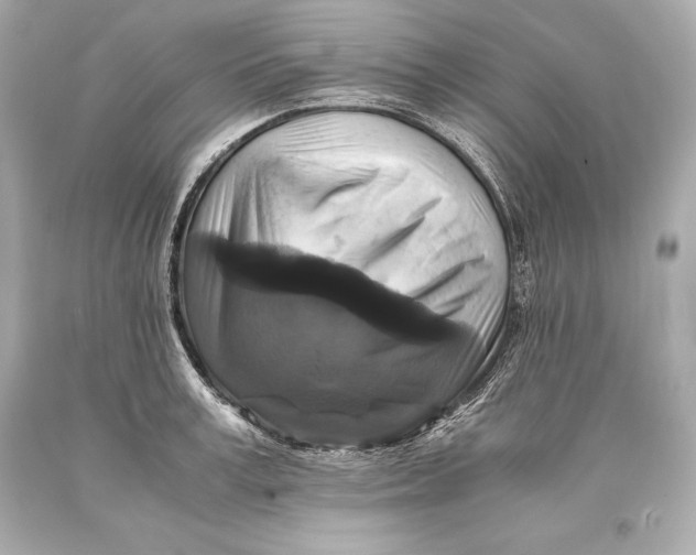 X0000093370995200711011224