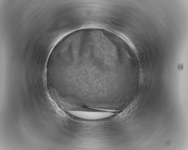 X0000093370996200711011224