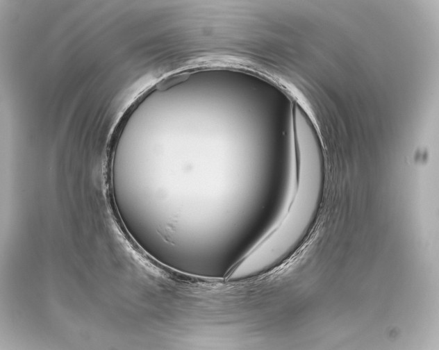 X0000093370997200711011224