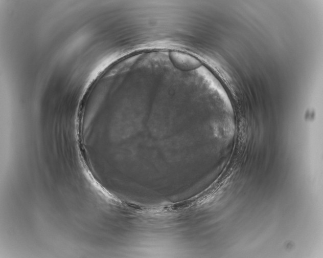 X0000093370998200711011224