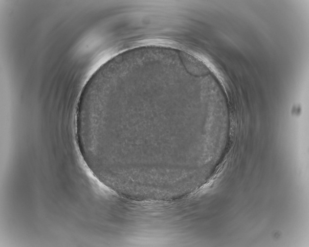 X0000093370999200711011224