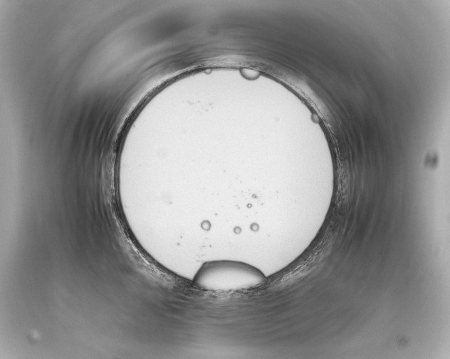 X0000093371000200711011224