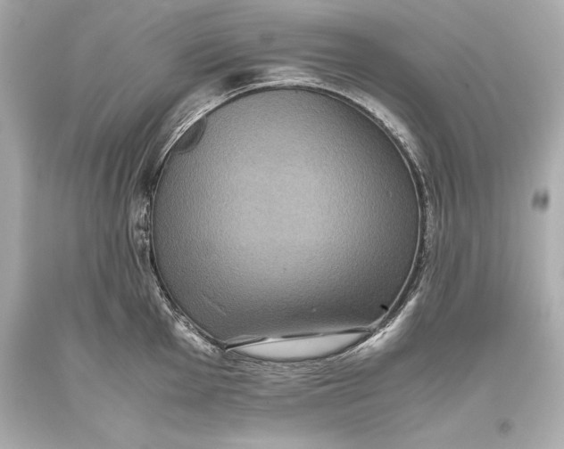 X0000093371001200711011224