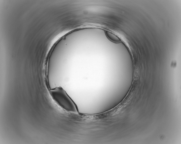 X0000093371003200711011224