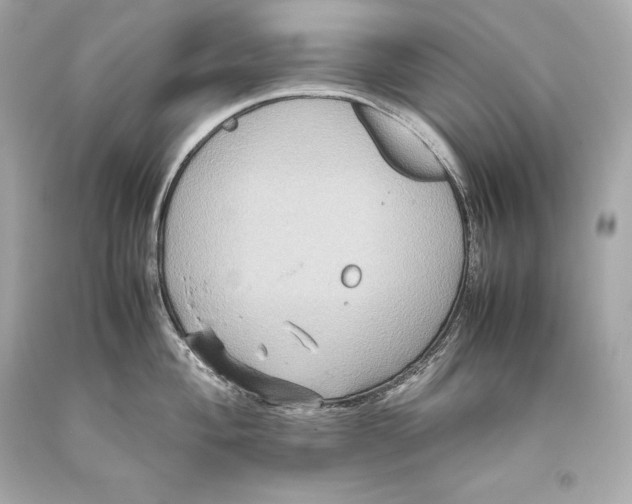 X0000093371004200711011224