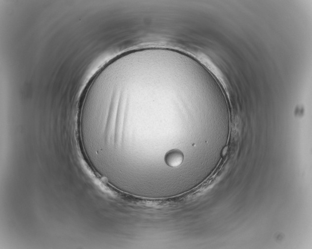 X0000093371005200711011224