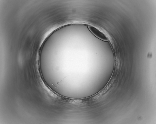 X0000093371006200711011224