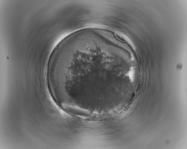 X0000093371007200711011224