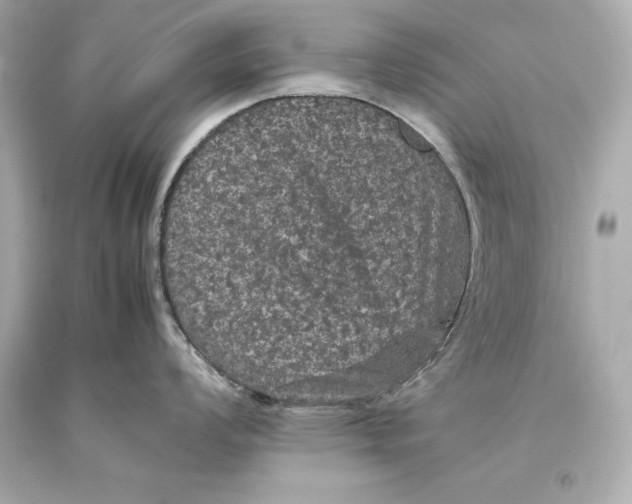 X0000093371008200711011224