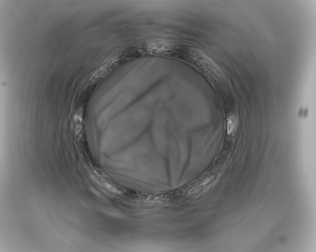 X0000093371011200711011223