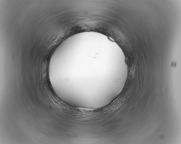 X0000093371012200711011223