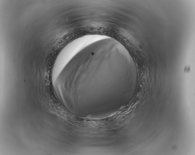 X0000093371013200711011223