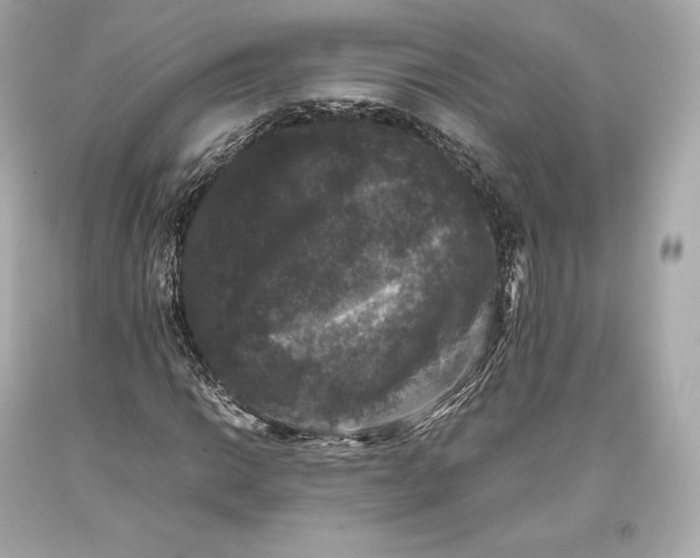 X0000093371014200711011223