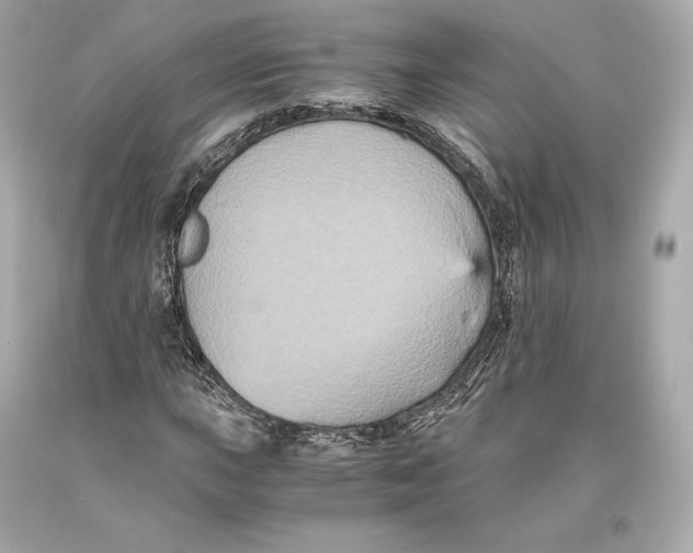 X0000093371015200711011223